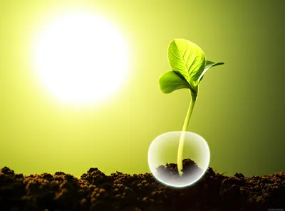 Illustration imping - Image 1