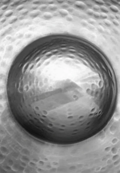 Illustration boss - Image 1