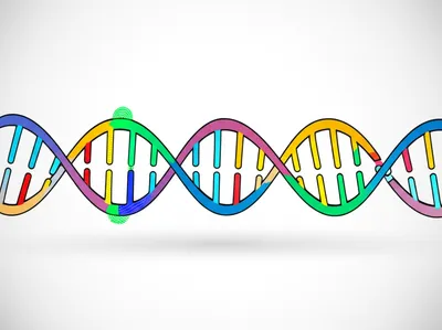 Illustration barcodes - Image 1