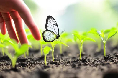 Illustration handsel - Image 1