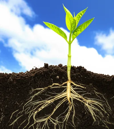 Illustration startups - Image 2