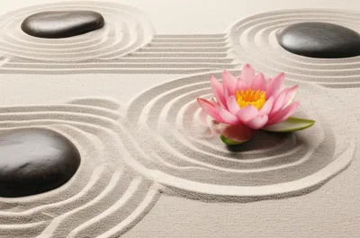 Illustration collections - Image 1