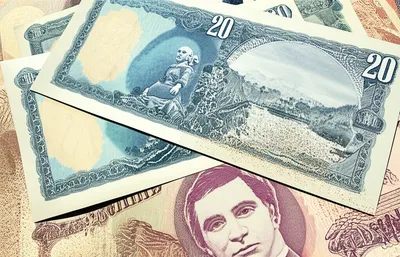 Illustration austral - Image 1