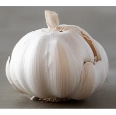 Illustration knob - Image 1