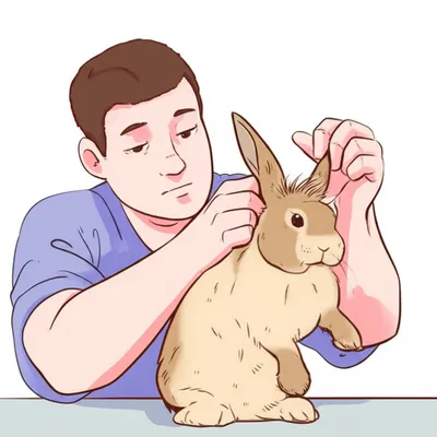 Illustration ears - Image 1