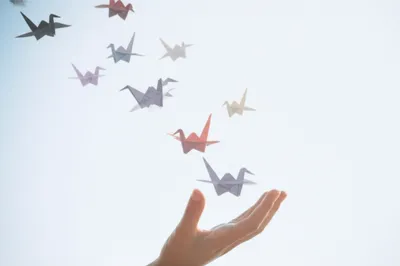 Illustration rm - Image 1