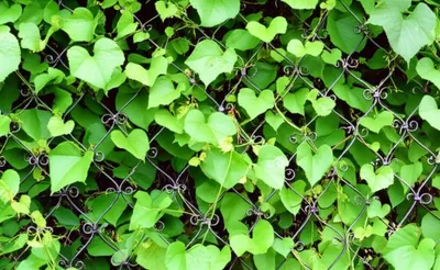 Illustration trained - Image 1