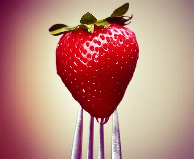 Illustration tasting