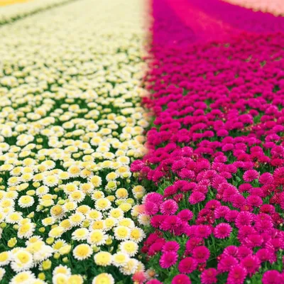 Illustration dramatic - Image 1