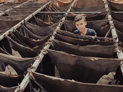 Illustration hides - Image 2