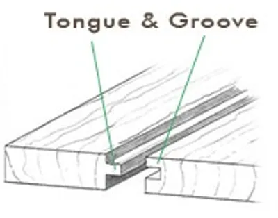 Illustration tongue - Image 4