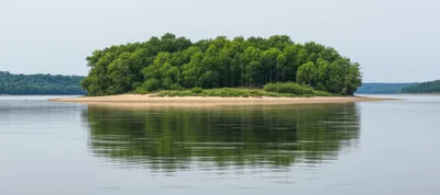 Illustration holm - Image 1