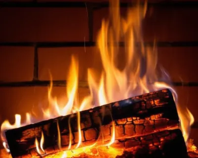 Illustration charring - Image 1