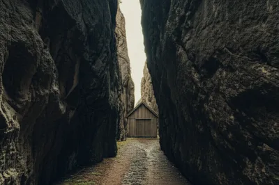 Illustration clove - Image 1