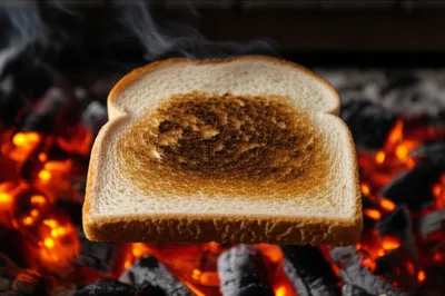 Illustration toasts - Image 1