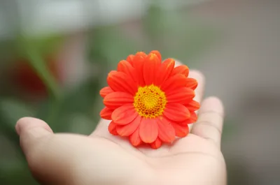 Illustration now - Image 1