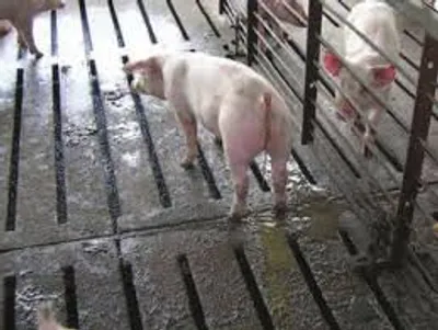 Illustration scour - Image 2