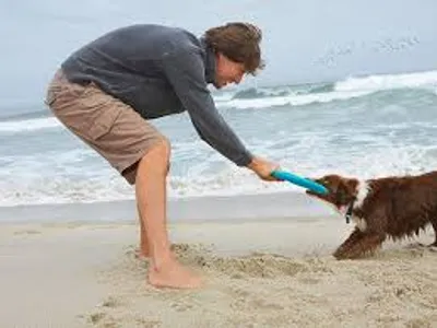 Illustration tug - Image 2