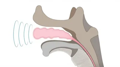 Illustration voicing - Image 1