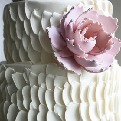 Illustration feathered - Image 1