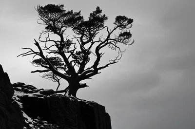 Illustration weathered - Image 1