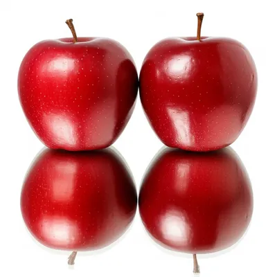 Illustration same - Image 1