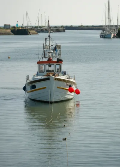 Illustration tided - Image 1