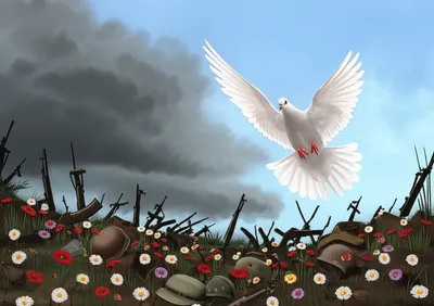 Hình ảnh minh họa pacified