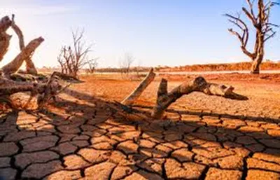 Illustration dry - Image 2