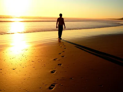 Illustration concluded