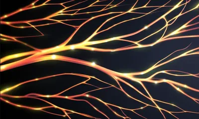 Illustration networks