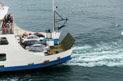 Illustration backs - Image 1