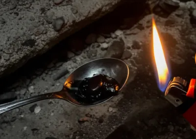 Illustration browns - Image 1