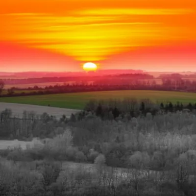 Illustration paled - Image 1