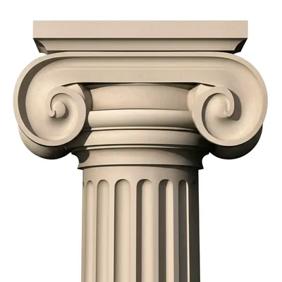 Illustration echinus - Image 1