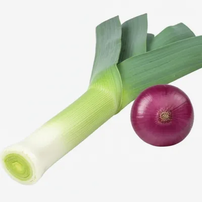 Illustration leek - Image 1
