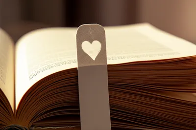 Illustration favourite - Image 1