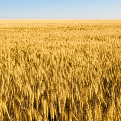 Illustration still - Image 1