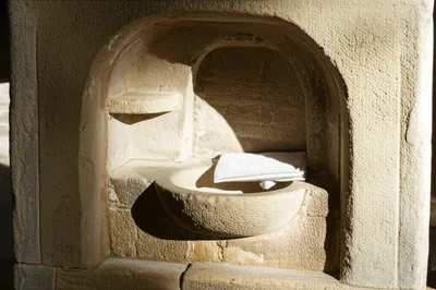 Illustration fenestella - Image 1