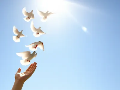 Illustration gift - Image 1