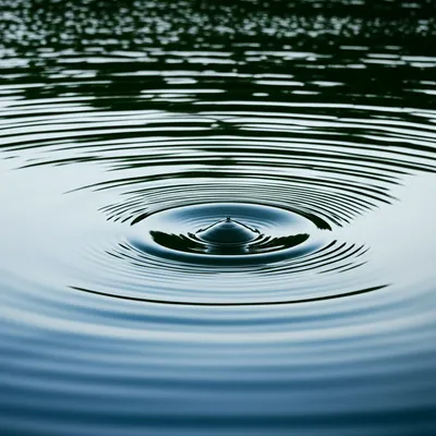 Illustration disturb