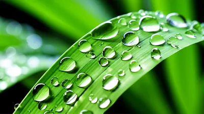 Illustration moist - Image 1