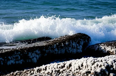 Illustration saline - Image 1