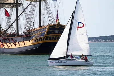 Illustration conquests - Image 1