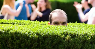 Illustration hedge - Image 1