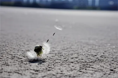 Illustration inconsequential