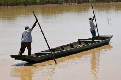 Illustration poling - Image 1