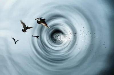 Illustration reports - Image 1