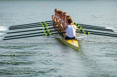 Illustration strokes - Image 1