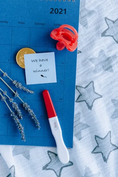 Illustration fecundating - Image 2